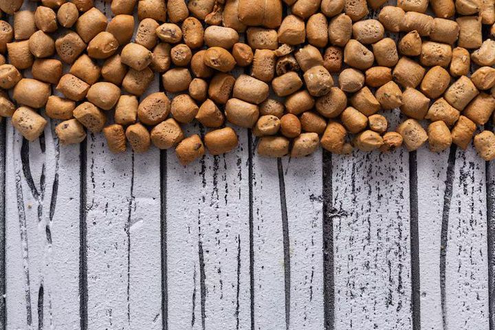 Fish Feed Extruders: Guide to Feed Processing Methods