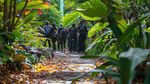 Wildlife Corridor Tourism: Guide to Conservation Travel and Practical Insights