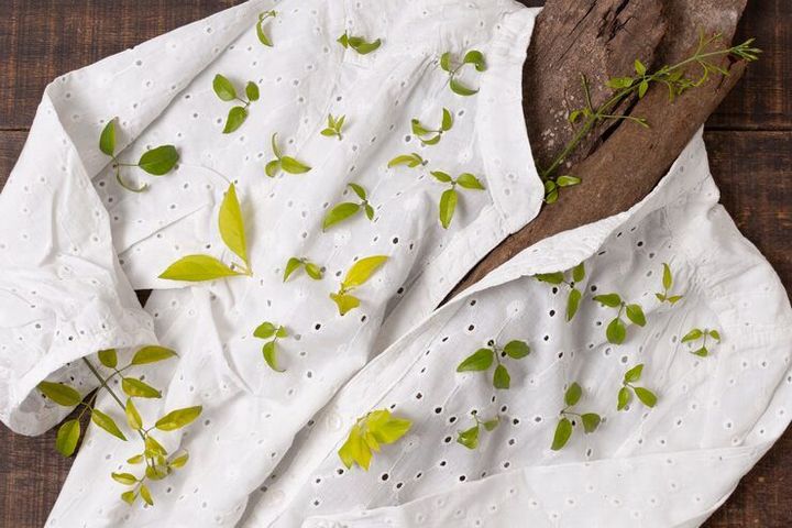 Bio-Based Textile Materials: Explore Essential Basics and Key Information