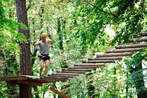 Music Festival Destinations: Overview of Events, Destinations, and Live Music Experiences