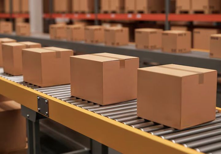 Palletizers: Guide to Automated Packaging Lines and Material Handling Technology