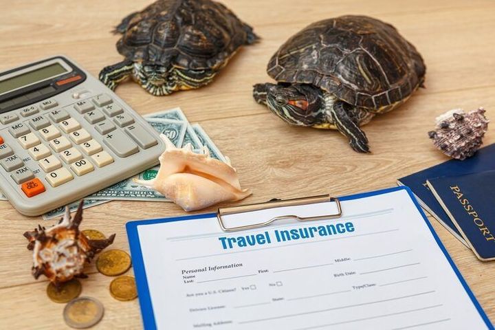Travel Insurance Claims: Insights Into Documentation, Processes, and Planning