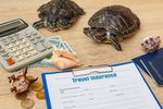 Travel Insurance Claims: Insights Into Documentation, Processes, and Planning