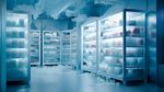 Cold Room Units: Guide to Temperature-Controlled Storage and Refrigeration Technology