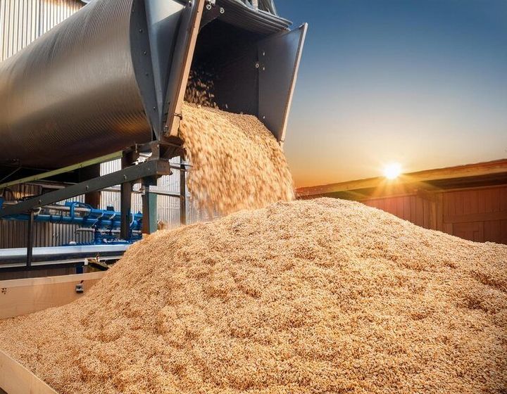 Grain Dryers: Insights Into Modern Drying Technology
